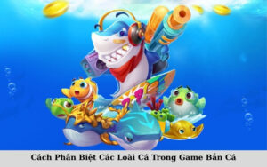 Cách Phân Biệt Các Loài Cá Trong Game Bắn Cá